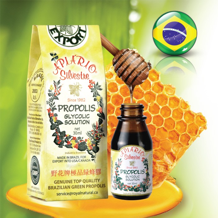 蜂胶 巴西 绿 蜂胶中的“战斗机”——巴西绿蜂胶，它到底有多强？_含量